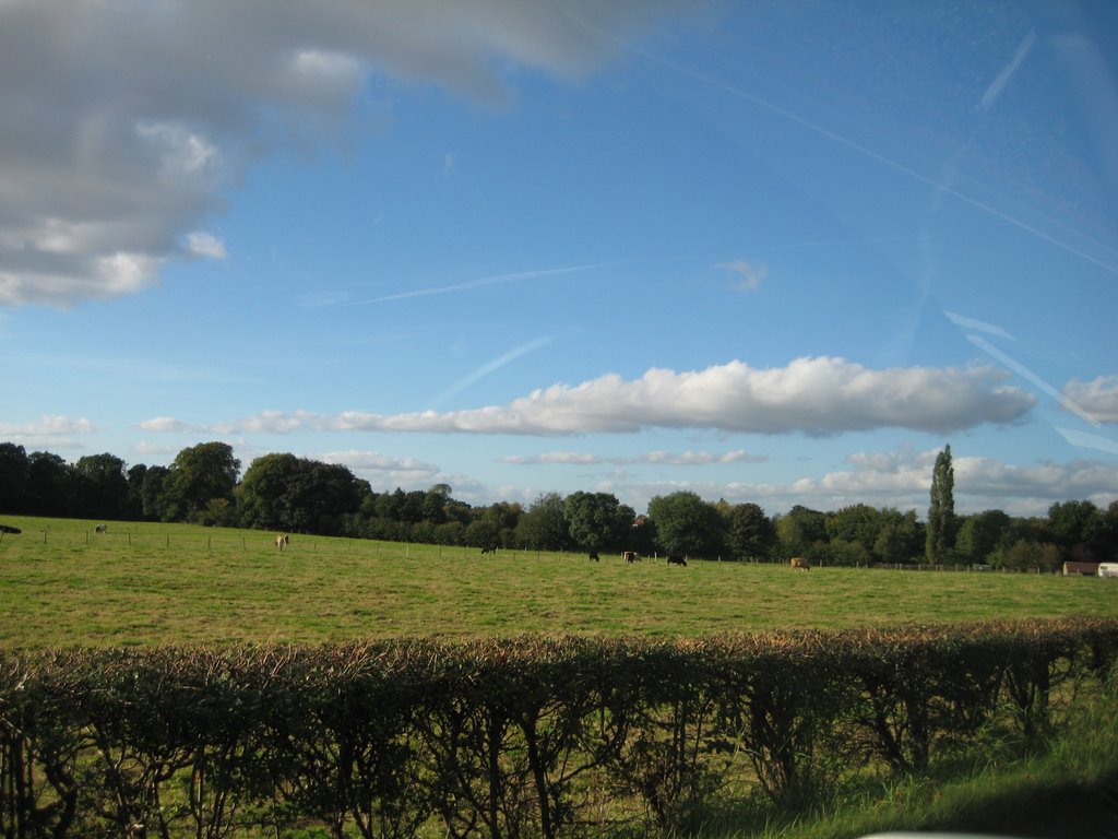 Countryside