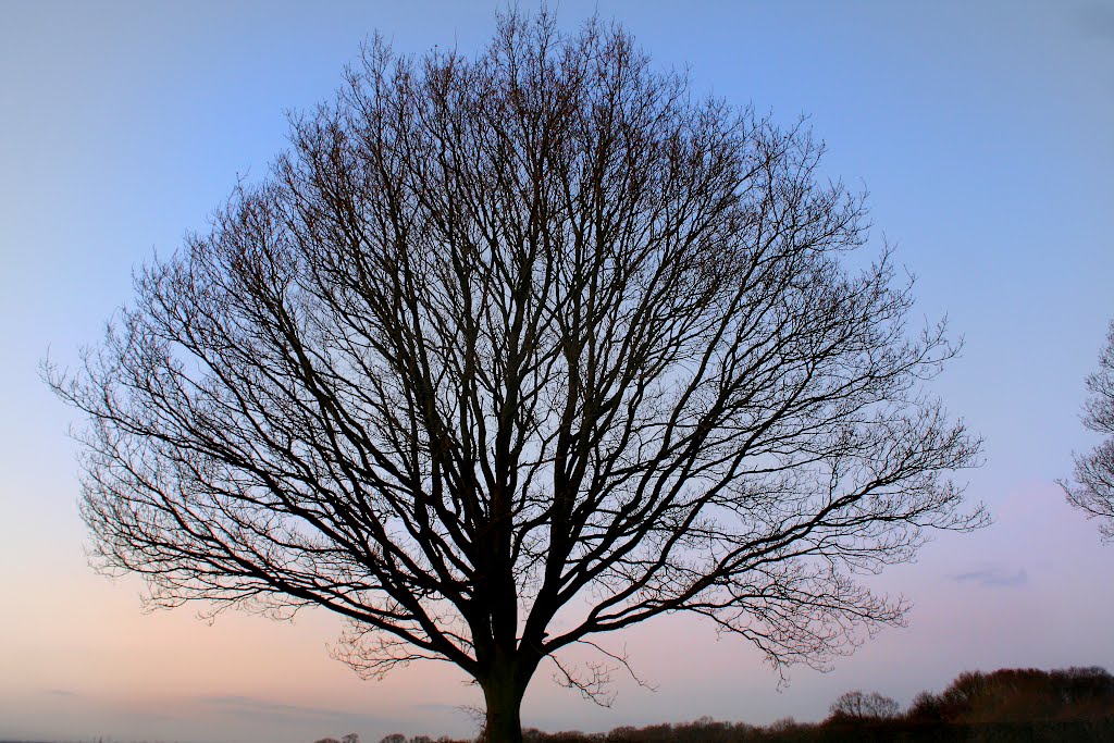 Cold, Dry, Nights and Days in Higher Poynton 4