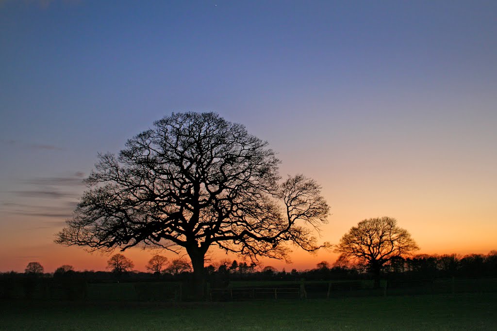 Cold, Dry, Nights and Days in Higher Poynton 5