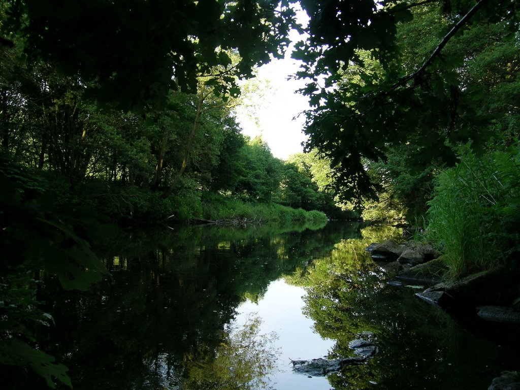 River at Copley