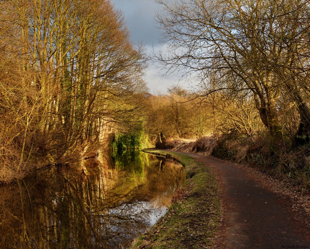 Canal Halifax