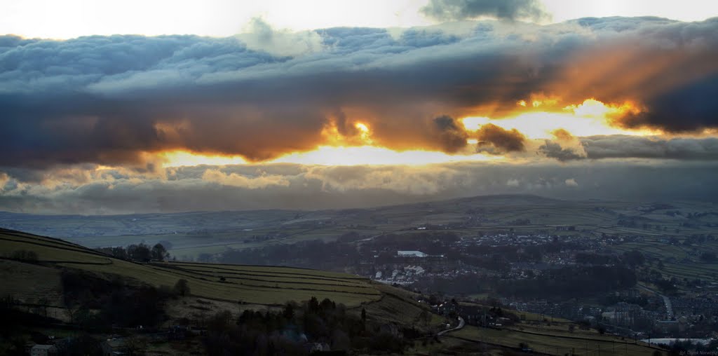 Yorkshire Clauds