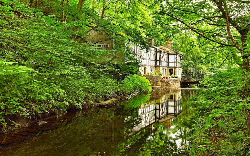 Myrtle Cottage / Halifax