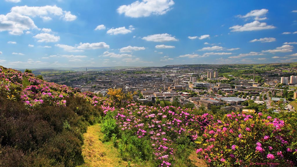 Panorama Halifax