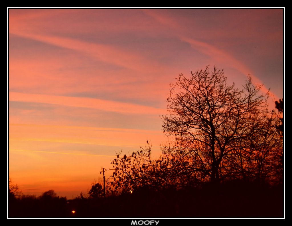 Sunset in Harlow