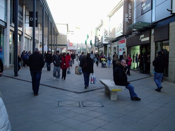 Busy Town