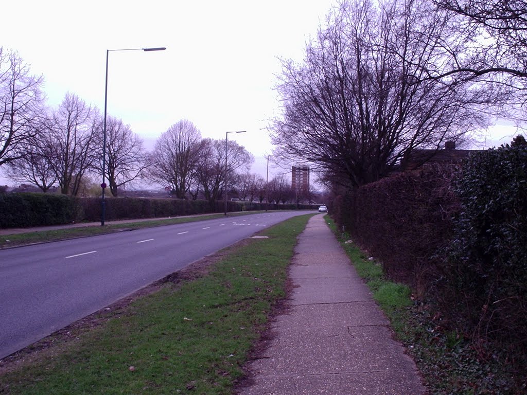 Roadside View