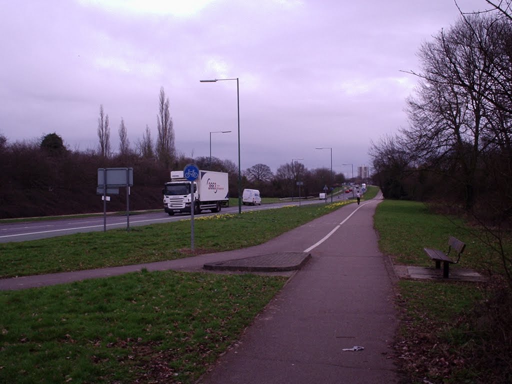 Near Netteswell Pond