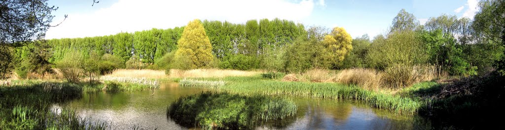 Maymeads Marsh NR panorama