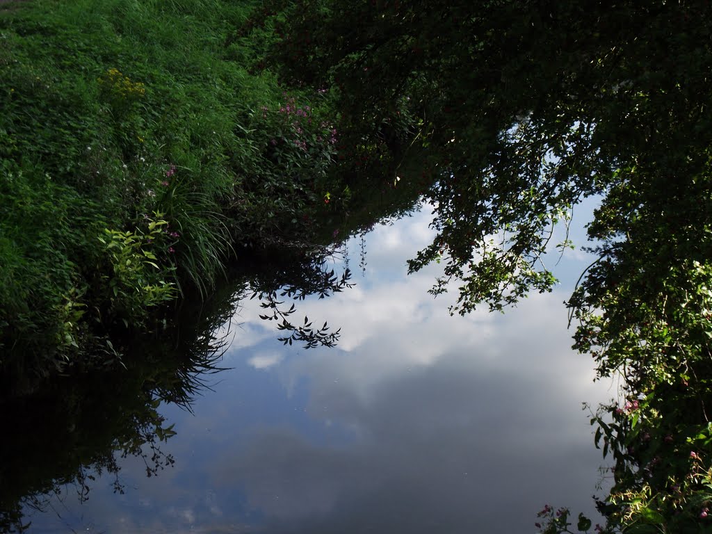 Creek,pure water