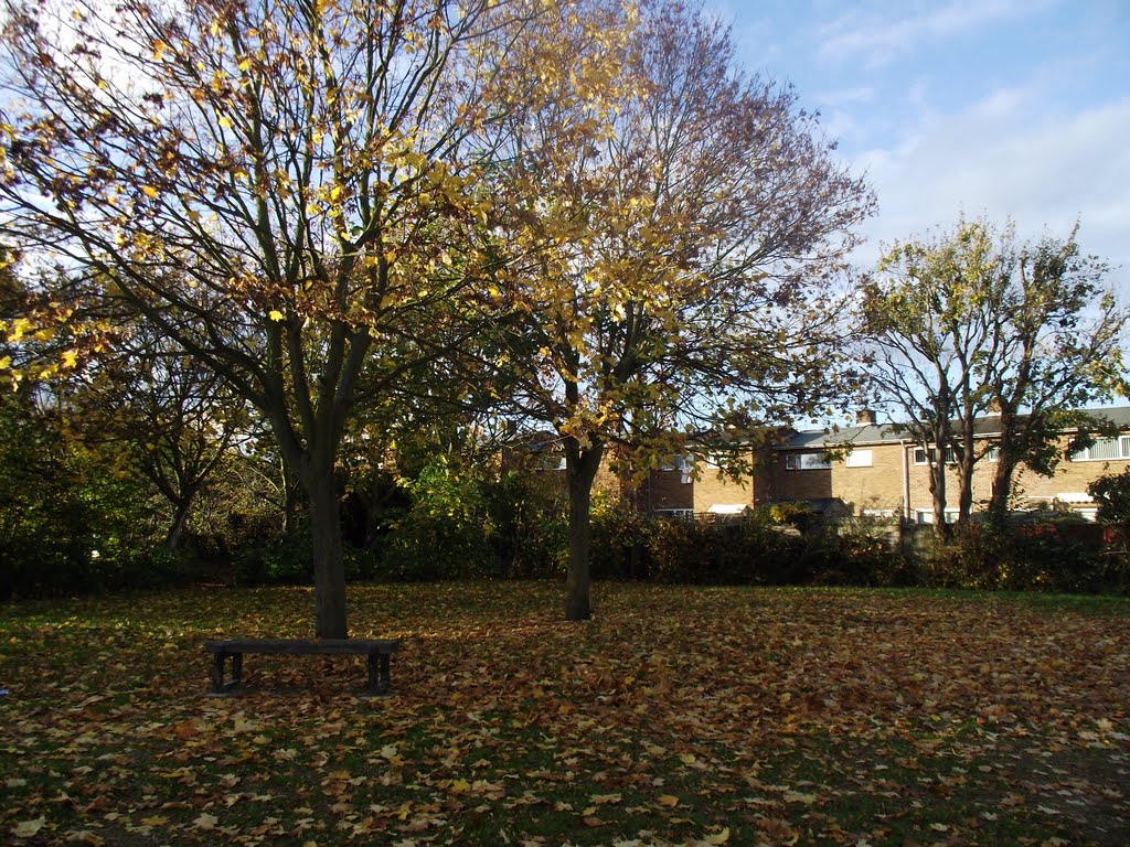 Automn in play ground