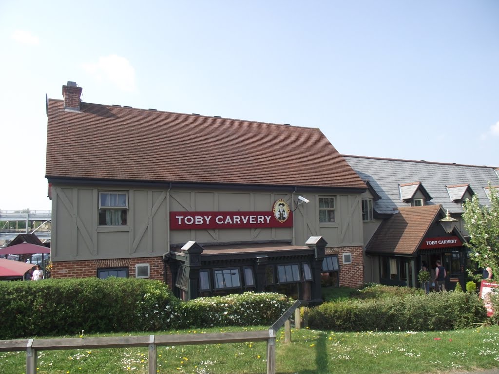 TOBY CARVERY