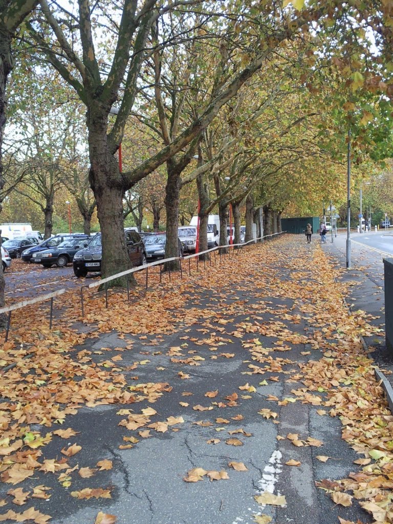 Autumn