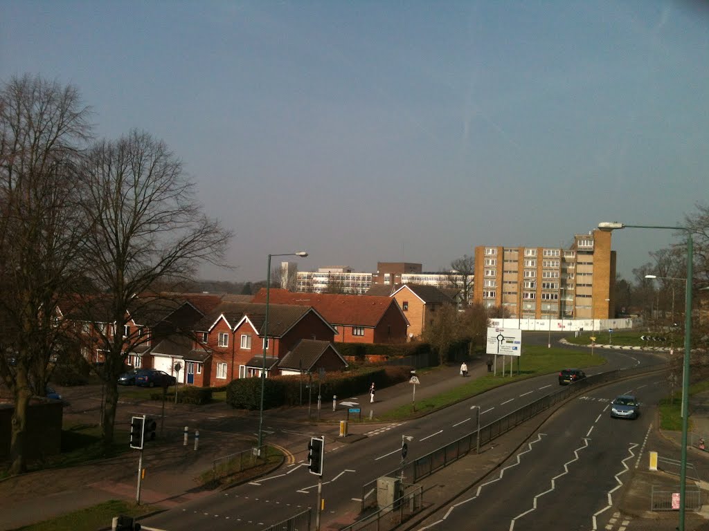Harlow