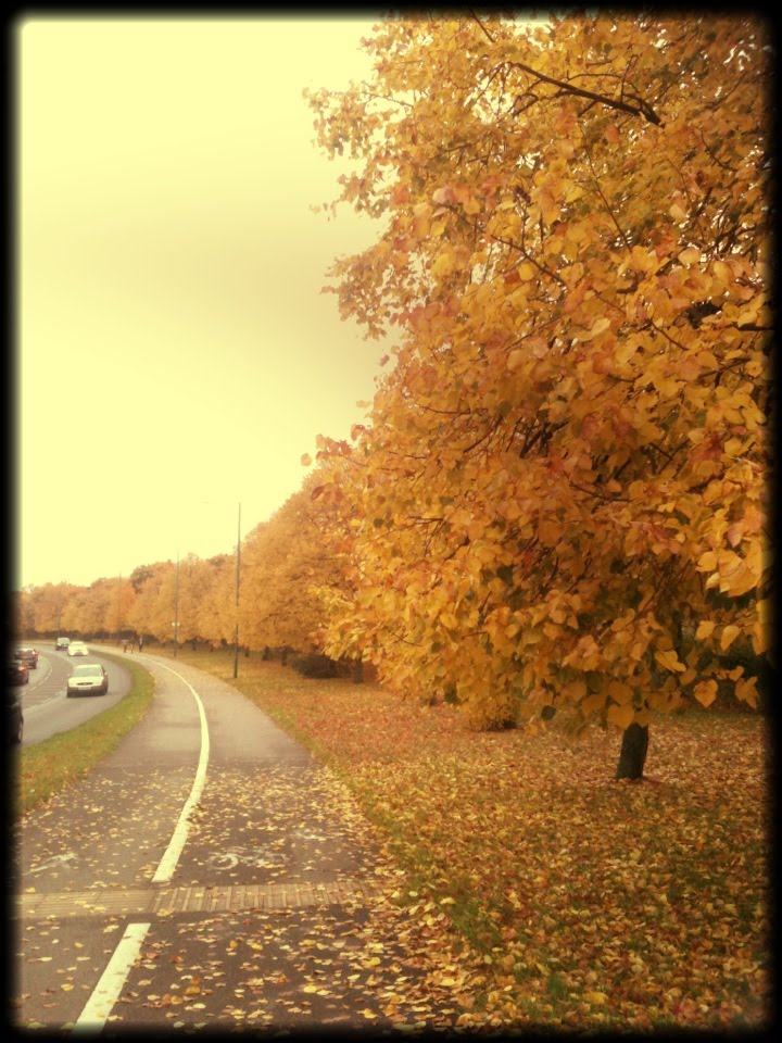 Autumn