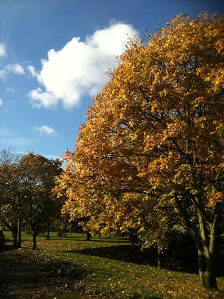 Autumn