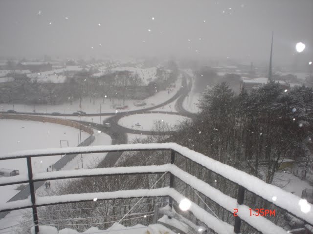 Winter