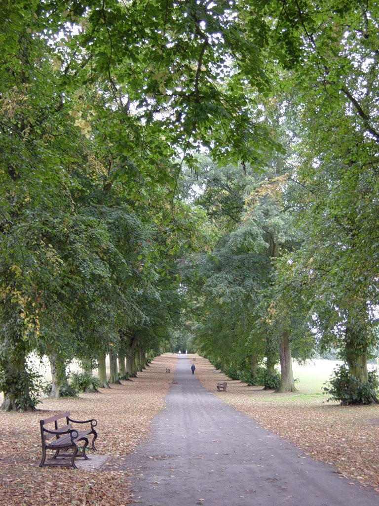 Harpenden Park