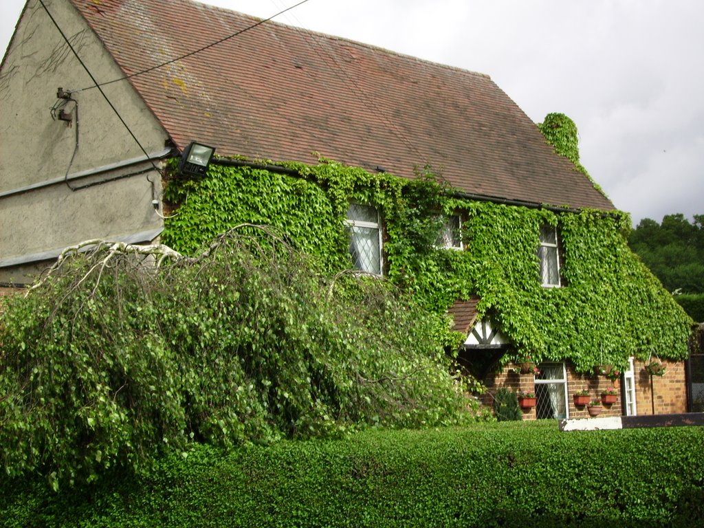 harpenden
