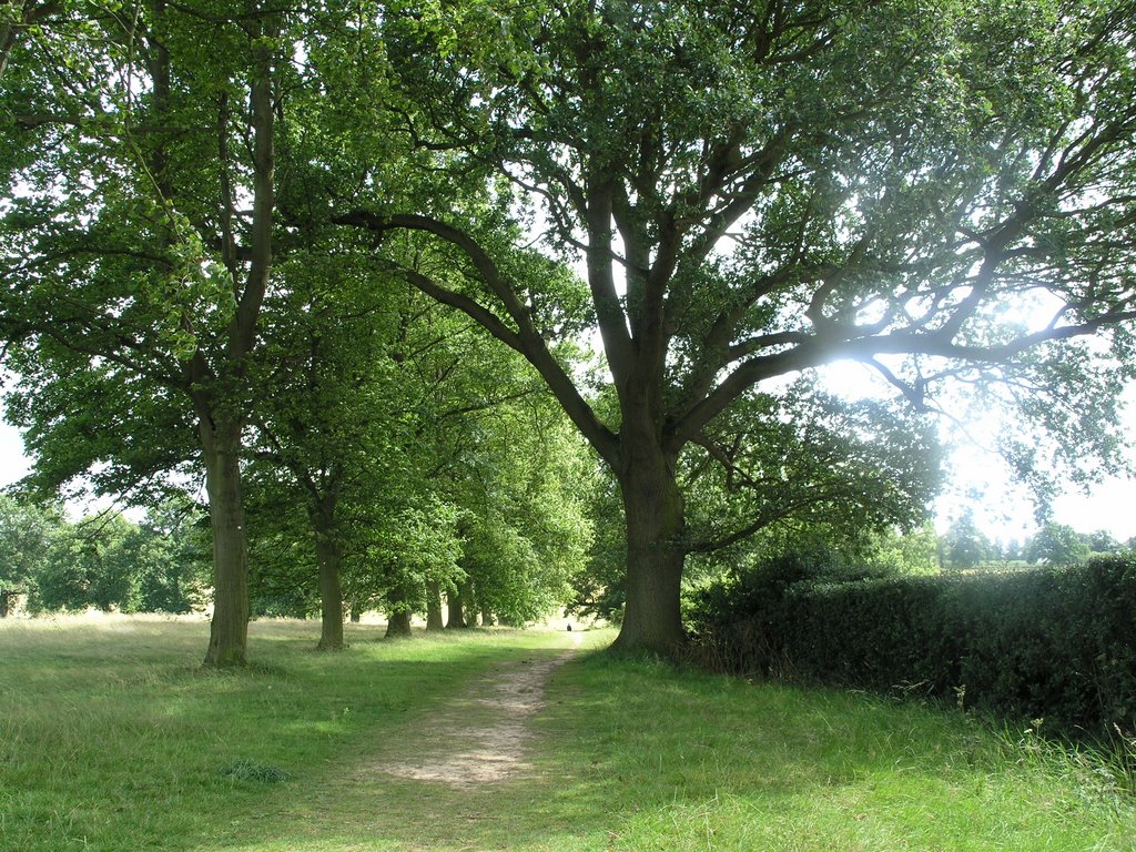 Rothampstead Park