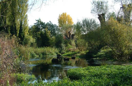 Batford Springs