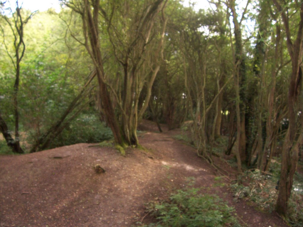 Brickle Dells, Harpenden Common