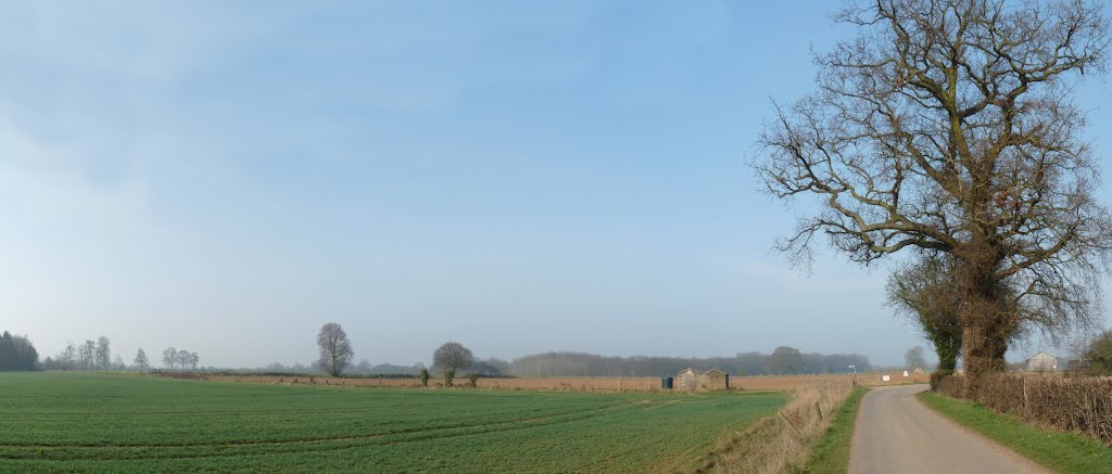 Rothamsted Farm March 2012