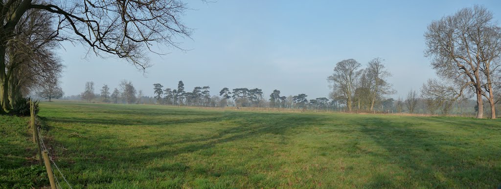 Rothamsted Panorama looking west: March 2012