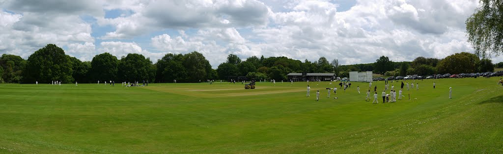 Harpenden Common; cricket practice