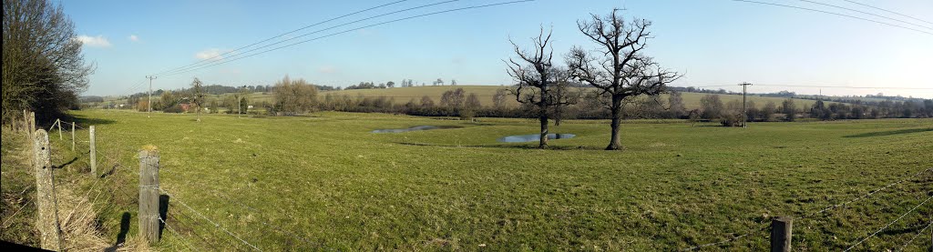 Disused railway track I, looking towards the River Lea (February)