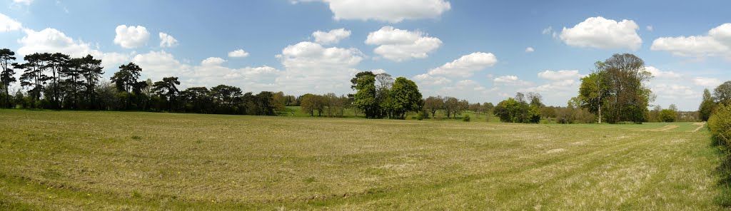 Rothamsted Park from the bridle path (May 2013)