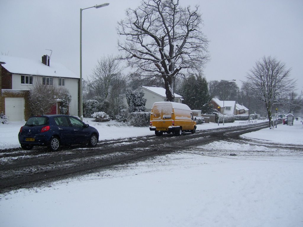 Bishops Rise in Winter