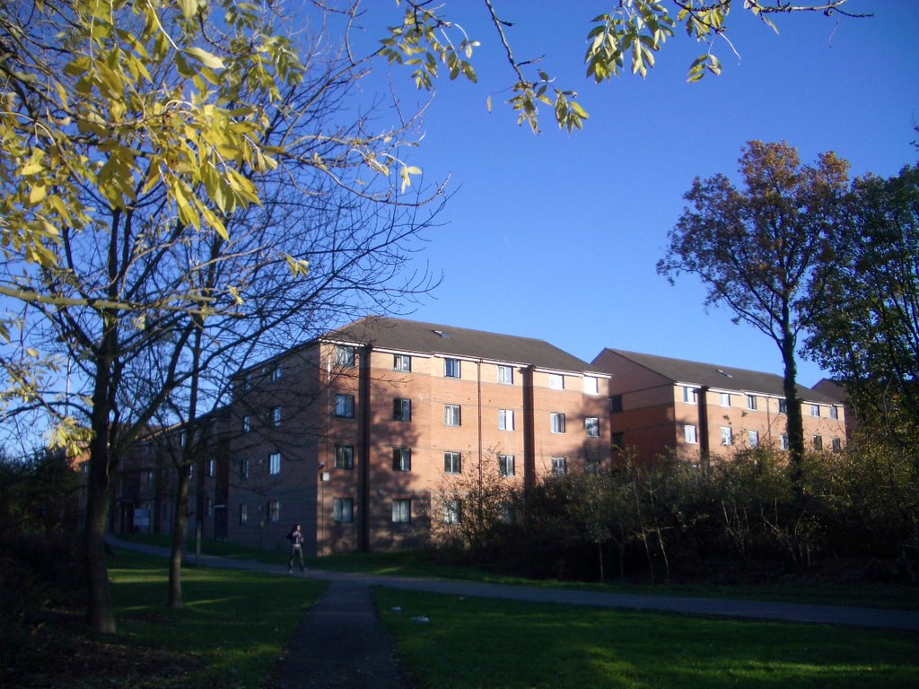 Telford Court in college lane campus University of Hertfordshire