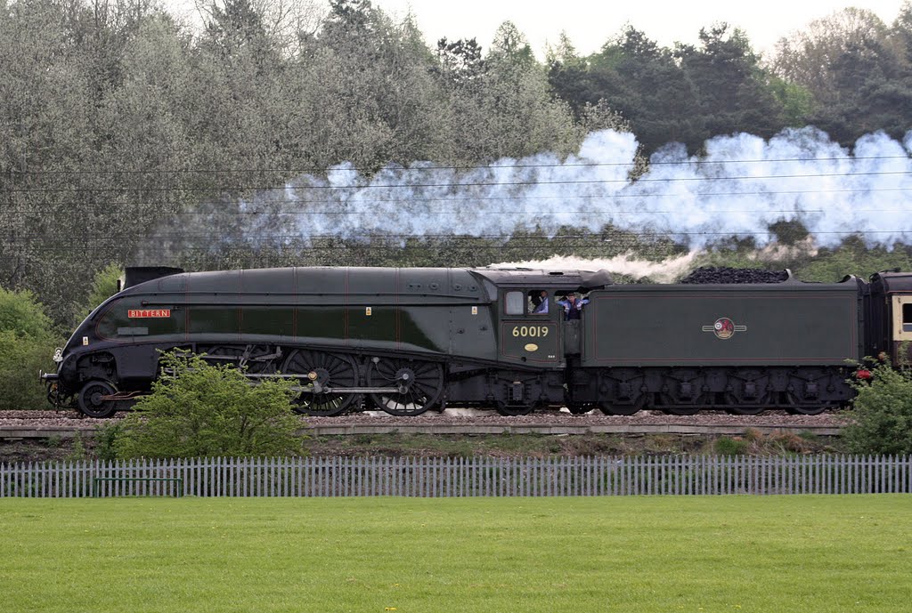 60019 Bittern passing Redhall nr Hatfield, Herts