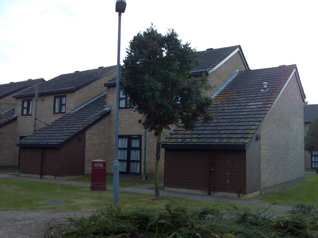 House 9.