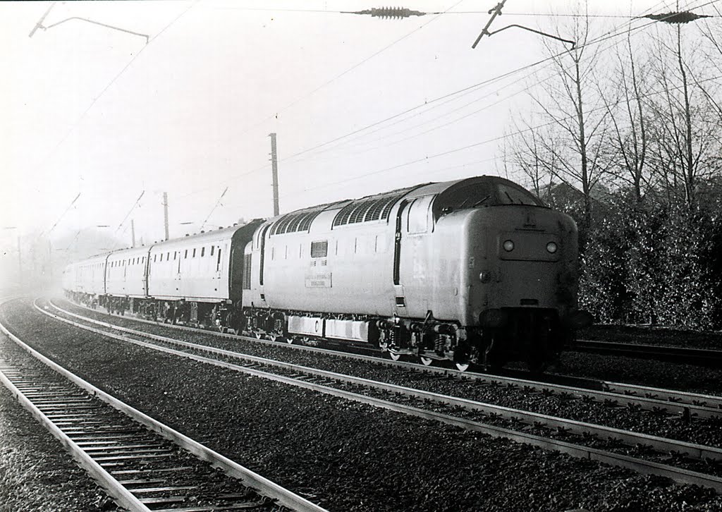 55021 on the 0940 Kings Cross to York at Hatfield 31/12/1981. This was to be 55021s final train.