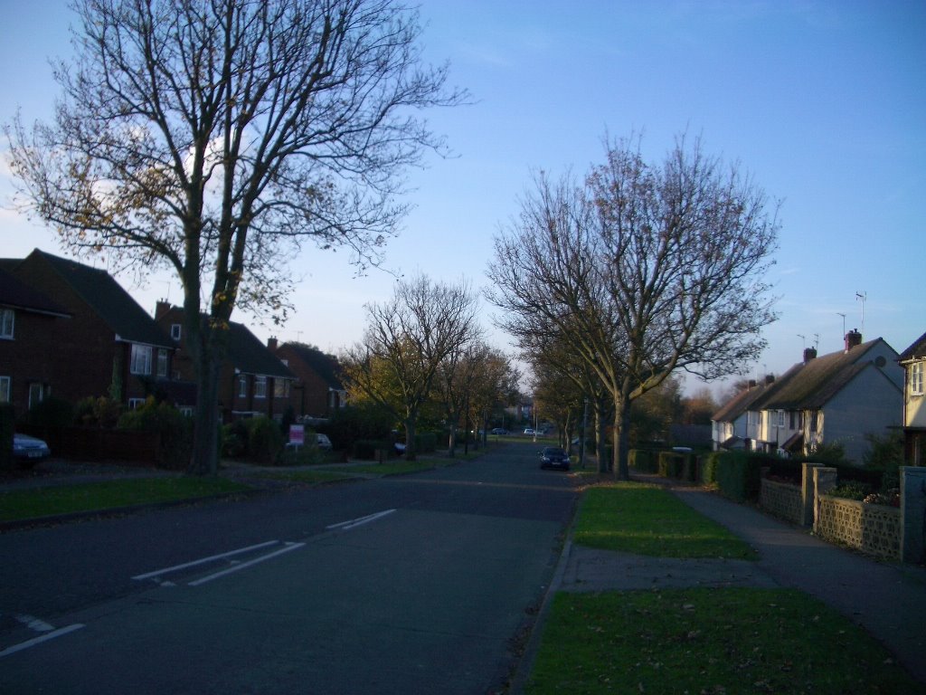 Homestead Road in Hatfield
