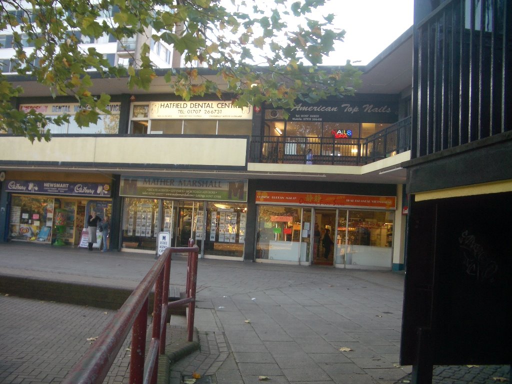 Jingjing(静静) in Hatfield Town Centre