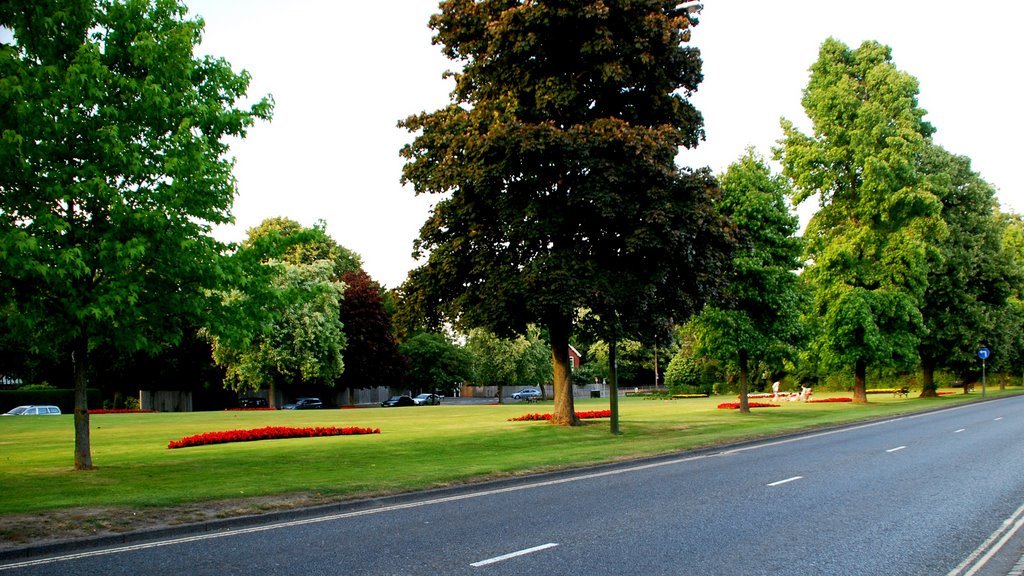 Muster Green, Haywards Heath