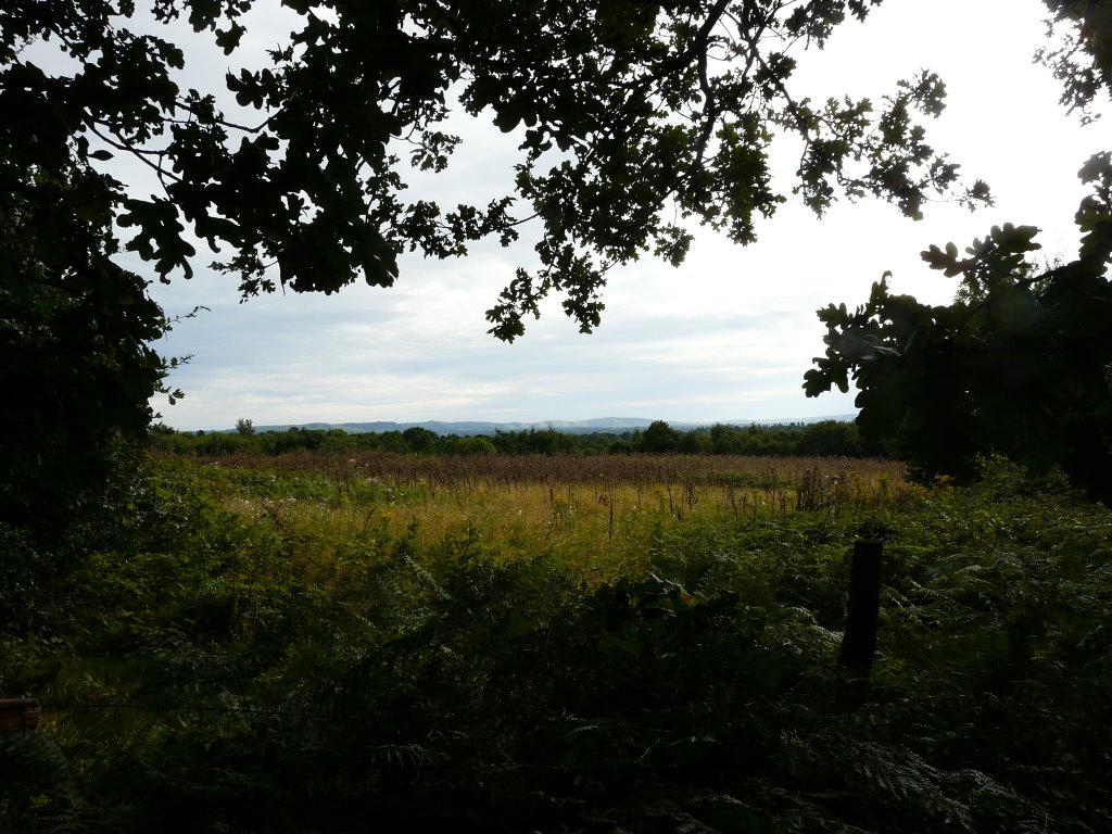 Haywards Heath