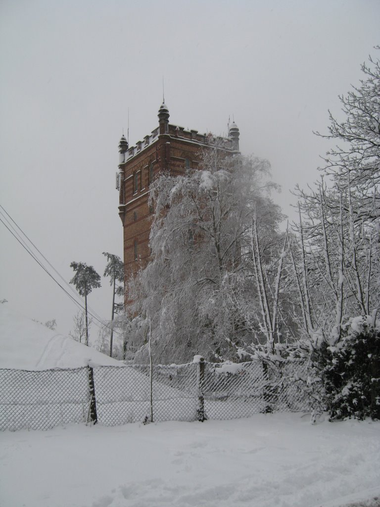 St Francis water tower January 2010