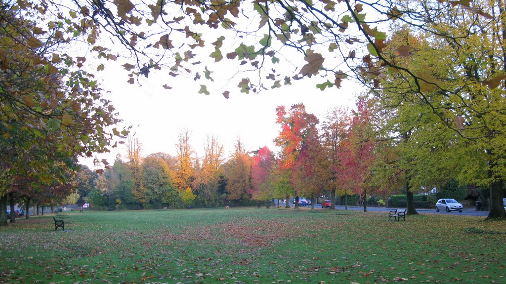 Autumn Colour at Muster Green