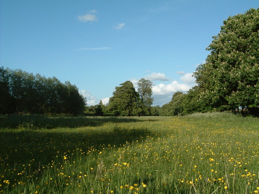 Station Moor, Boxmoor