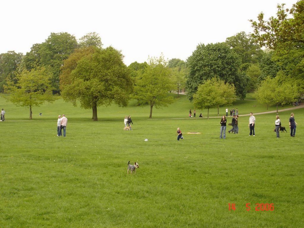 HemelHempstead4
