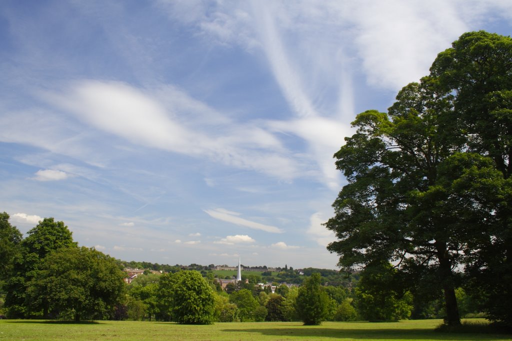 Field of Hope and The Old Town