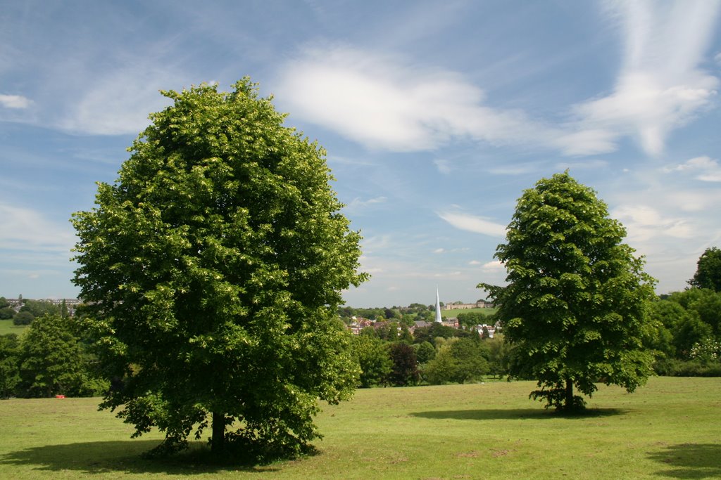 Field of Hope and Hemel Old Town