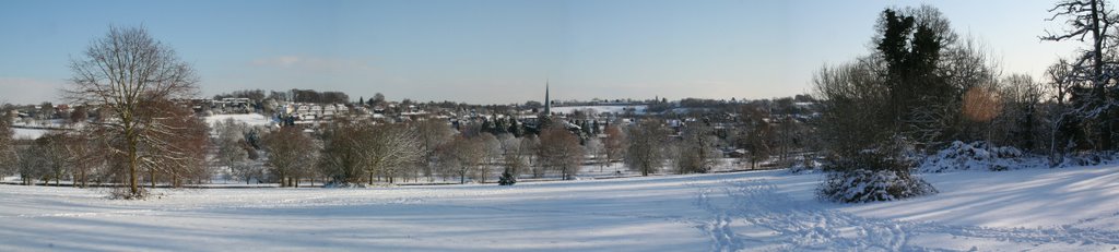 Gadebridge Park in The Snow Panoramic
