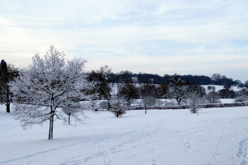 Gadebridge Park, Hemel Hempsetad