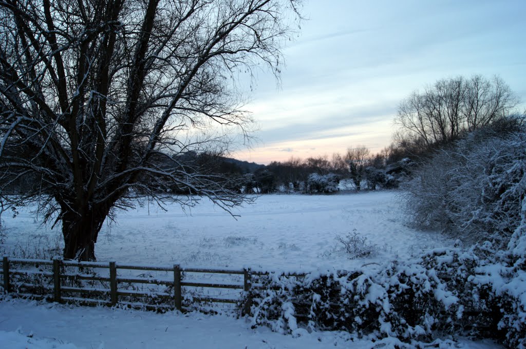 Woodland, Hemel Hempstead