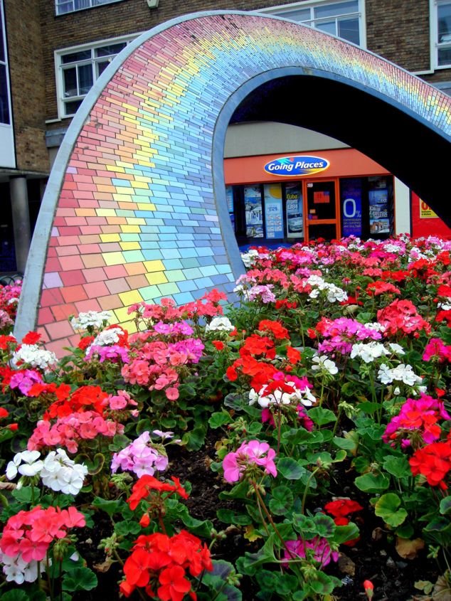 Rainbow and flowers
